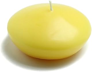 Zest Candle CFZ-081_8 24-Piece Floating Candle, 4