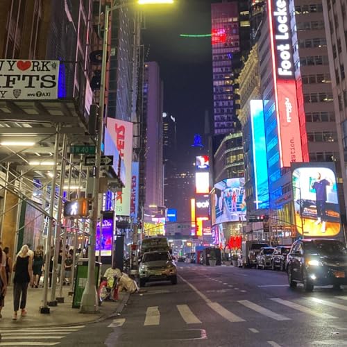 Questioning Homelessness