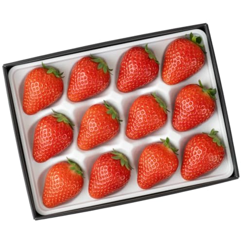 大粒 完熟いちご 2種 食べ比べ 贈答用 冷蔵便 高級 産地直送 西粟倉村 18〜30粒[400g×2]