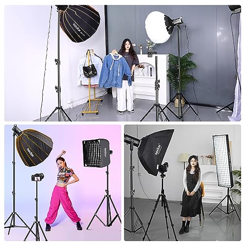 Image of 2Pack 118 inch /3m Heavy Duty Light Stands Spring Cushioned Tripod Stands Max Load Bearing: 10KG / 22LB Portable with Carry Bag for Photography Shooting Photo Video Studio