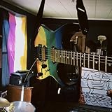birdhouse home recordings