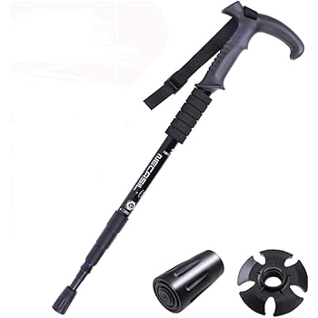 rambling walking sticks