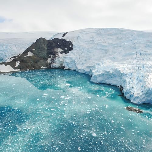 What We Can Learn From Microscopic Life In Antarctica Podcast Por arte de portada