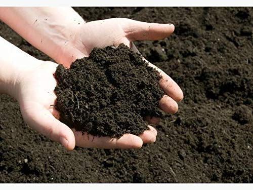 Awadh-Desi Gobar Khad Eco Friendly Manure Cow Dung for Plants Dried Powder, Village Made 100% Natural,Cow Dung Manure Fertilizers 950g (B0BM76T24H) Amazon Price History, Amazon Price Tracker