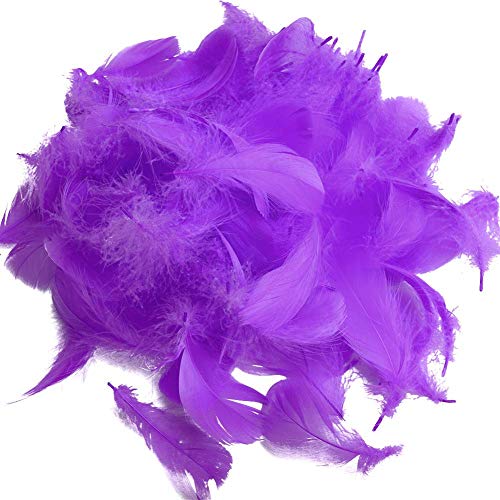 Sunest Lot de 100 plumes d'oie pour loisirs créatifs, attrape-rêves, boucles d'oreilles, mariage, festival, décoration de fête prénatale, décoration de fête prénatale – 5-8 cm – Noir, violet, 5-8cm