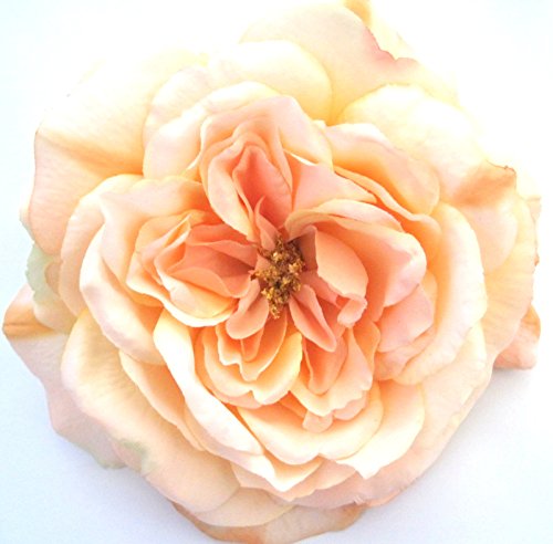 Full 5.5" Peach Rose Silk Flower Brooch Pin #TOP4