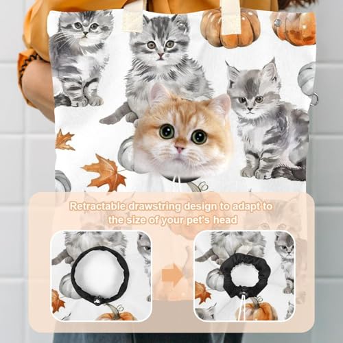 Sac de transport en toile anti-stress pour chats et animaux - 4