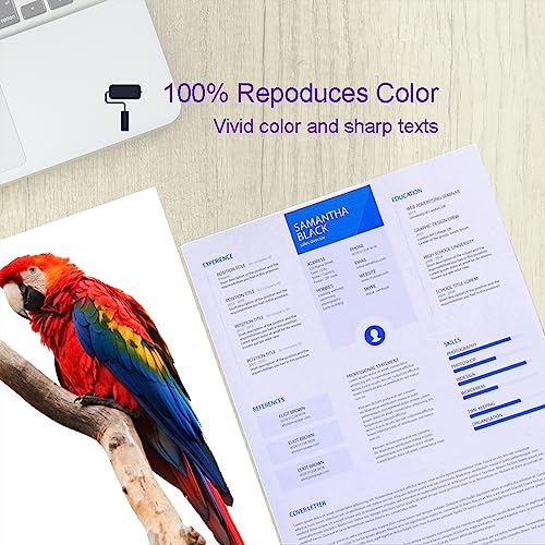 Tinta Y Tóner, Personal Computer Imagen adicional