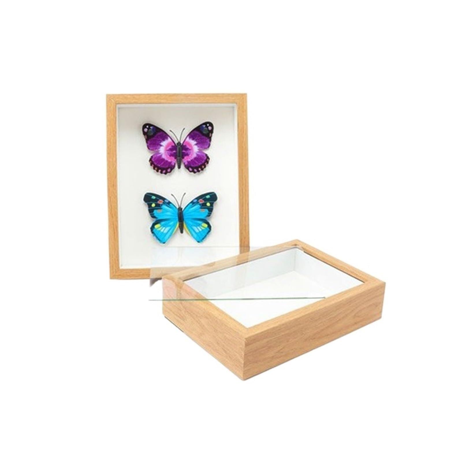 Photo Frames 1 Three-dimensional Dried Flower Plant Photo Frame Ornament Shell DIY Specimen Eternal Display Box(L)