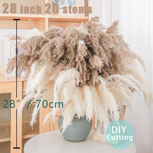 Image of 30 Stems 28 inch Boho Decor Tall - Dried Pampas Grass, Brown & White Pampas Grass Fluffy Large, Dry Flowers, Tall Pampas Bulk for Room Decor, Home Decor Floor,Wedding Decor