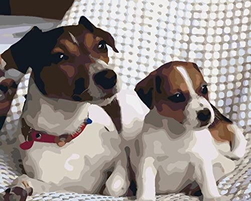 Peinture à broder au diamant cristal strass motif animaux 30x40