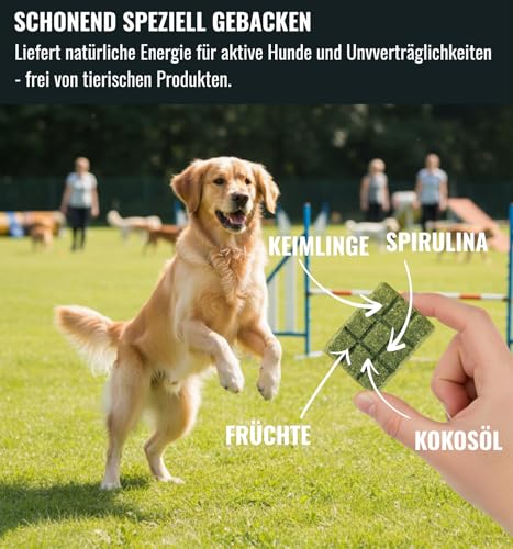 Viva Vegan Hundesnacks Riegelbox 10× – Vegane & glutenfreie Hundeleckerli mit Keimlingen, Banane, Ananas, Spirulina & Kokosöl – 300g Pflanzliche Superfood-Riegel für Hunde – von RiNa
