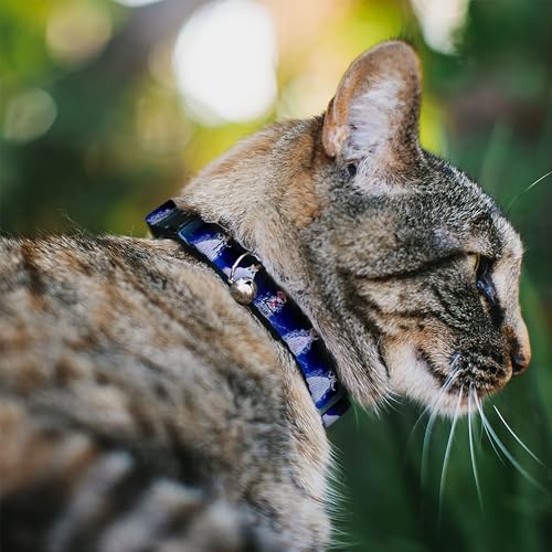 Collar para gato antiahogo Buckle-Down azul con diseño redondo cómodo 3