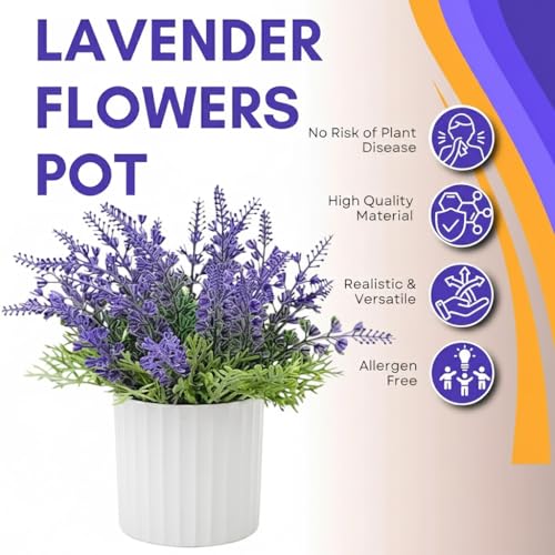 Image of CURATED CART Artificial Lavender Plant in White Pot - Faux Purple Lavender Flowers for Home Decor - Small Fake Plants for Bathroom, Bedroom, Kitchen, Office, Farmhouse - Potted Indoor Decor
