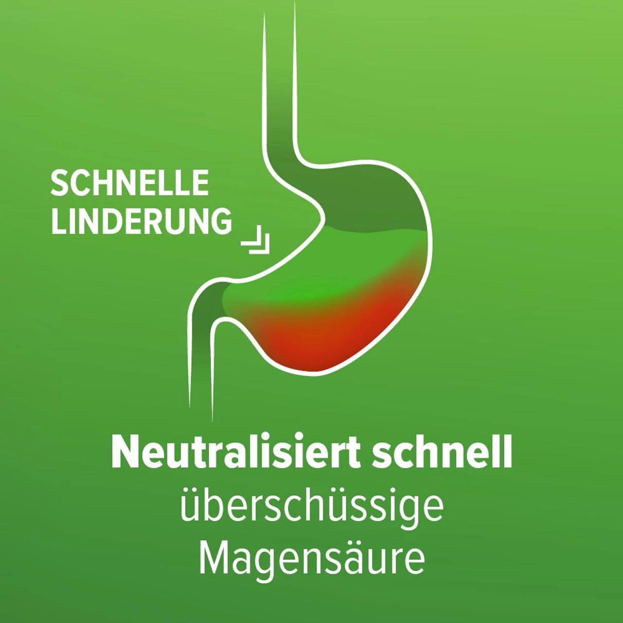 Refluthin bei Sodbrennen | 16 +16 Kautabletten in Frucht- und Minzgeschmack | Medizinprodukt | Reflux-Beschwerden & Sodbrennen | neutralisiert überschüssige Magensäure | vegan & glutenfrei