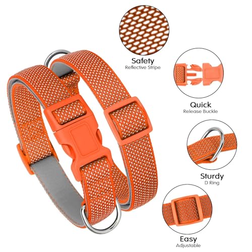 Didog Reflektierendes Hundehalsband mit Schnalle, verstellbar, weiches Neopren, gepolstert, Nylon, Haustierhalsbänder für kleine, mittelgroße und große Hunde, Orange, S