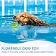 PETTOM Hundeball Quietschend Unzerstörbar, 3 Stücke Hundespielzeug Ball Set, Quietschball für Große und Kleine Hunde, Hundeball Schwimmfähig (Orange, Blau, Grün), Durchmesser 7,5cm