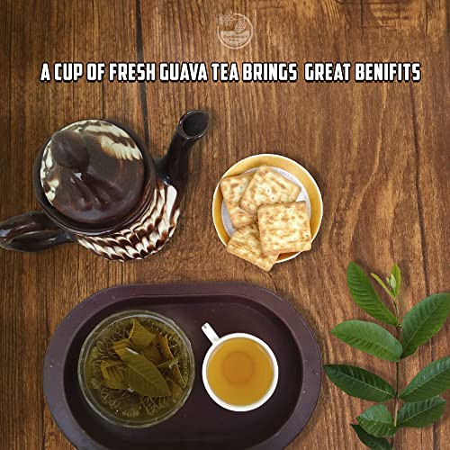 Image of 2.1oz Premium Dried Sea Moss, 100% Natural, Make 40oz of Gel, Wildcrafted, Caffeine Free, Sugar Free, Gluten Free, Vegan. (Avocado Leaves, 1oz (Pack Of 1))