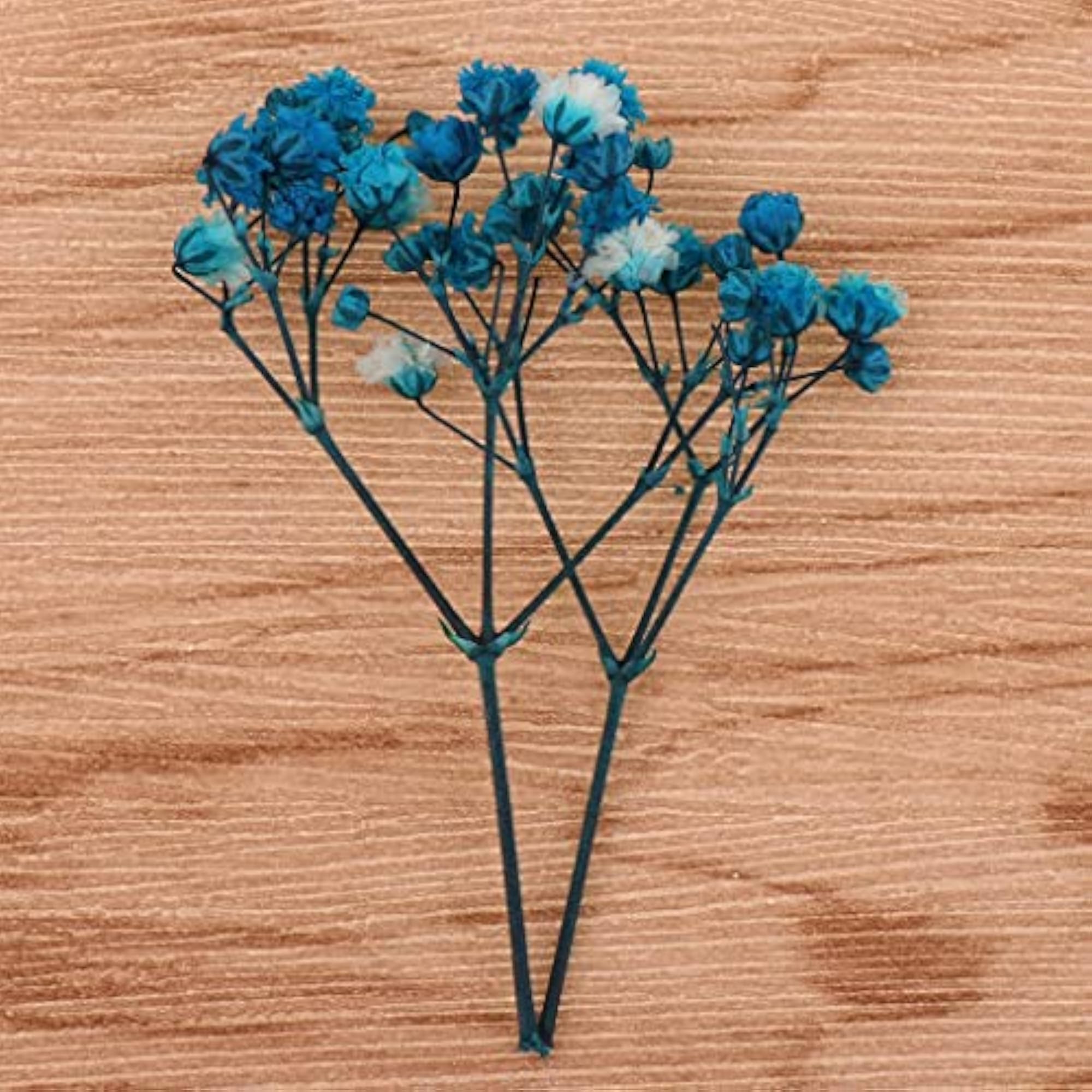 Pressed Leaves Natural Dried Flowers for Scrapbooking