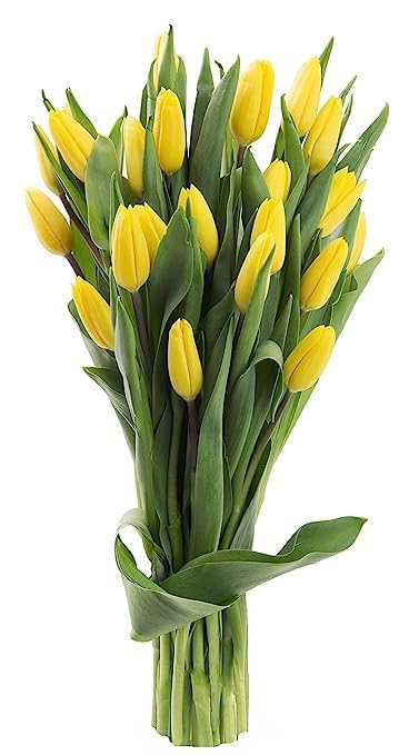 Image of KaBloom-15 Yellow Tulip Bouquet,Flowers for Valentine, Mother's Day