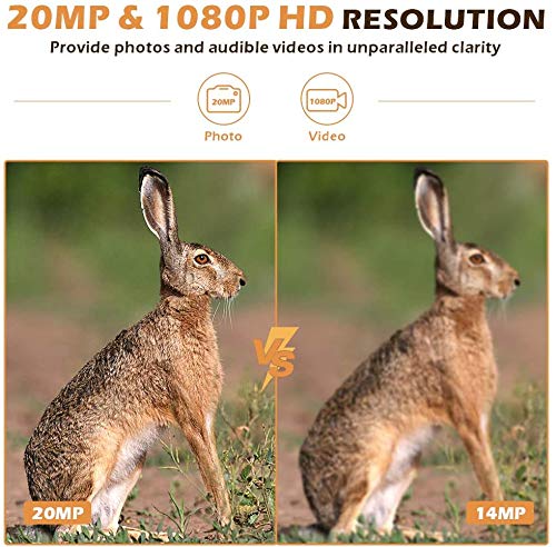 AXIS Q3515-LVE Network Camera - Color