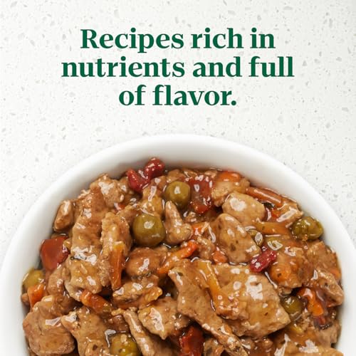Nutro Ultra Filets in Gravy Wet Dog Food Pack, Chicken, 3.5 oz, 24 Count - image 4