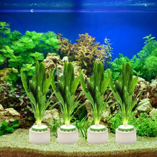 Image of 12 Pack Aquarium Plant Weights, Aquatic Plants Fixed Ring Set, Anti-Floating Ceramic Aquarium Plant Rings, Aquarium Landscape Decoration Fish Tank Accessories 1.8 x 1.3 Inch