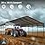 MFSTUDIO Carport 20x30 ft, Outdoor Heavy Duty Carports with Sidewalls, Metal Shed Canopy Shelters Garage Shelter Shade Car Ports with Galvanized Roof for 3 Cars, Truck and Boats