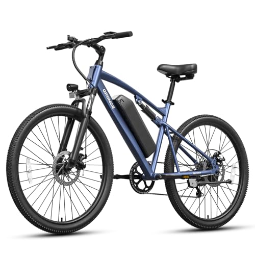 QRONGE 1000W Mountain E-Bike