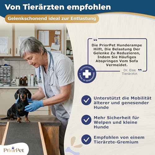 Hunderampe - Hundetreppe für kleine Hunde und große Hunde - Einstellbar 18-53 cm - Für Bett Sofa - Birkenholz - Landeplattform schließt nahtlos an - Rampe Hund Klappbar - Anti-rutsch Einsatz Naturel