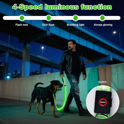 Behogan LED Hundeleine, 1.2M Wasserdicht Nylon LED Hundeleine, USB Wiederaufladbar Lichtfunktion Hundeleine Reflektierend, Clip Lampe für Nächtliche Spaziergänge (Grün)