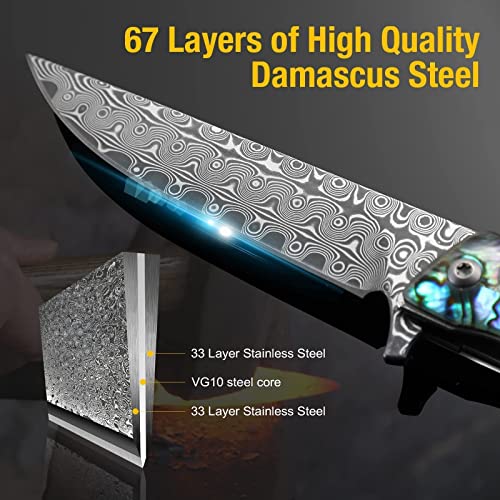 Augenweide Damascus Steel Pocket Knife, Abalone Handle, Damascus Knife With For Men, Great As Father's Valentine's Day Christmas Day Gift (A-Knife With Sheath) #TOP1