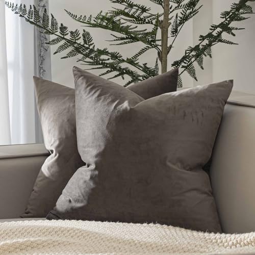 Image of JUSPURBET 20x20 Decorative Velvet Throw Pillow Covers Cases Set of 2,Ash | Modern Soft Cushion Covers with Hidden Zipper for Couch Sofa Bed Living Room Bedroom Home Decor
