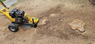 Review Image by karli karli