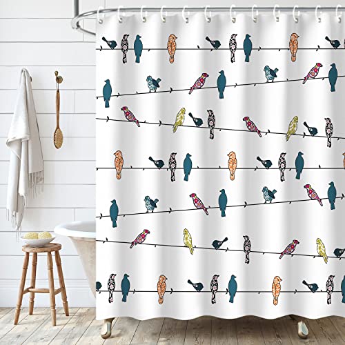 LIVILAN Bird Shower Curtain, Cute Shower Curtain Colorful Funny Animal Shower Curtain Hooks, Multicolor Rowley Birds Shower Curtains for Bathroom Funny Bathroom Decor, 72Wx72H Inch LIVILAN Bird Shower Curtain, Cute Shower Curtain Colorful Funny Animal Shower Curtain Hooks, Multicolor Rowley Birds Shower Curtains for Bathroom Funny Bathroom Decor, 72Wx72H Inch