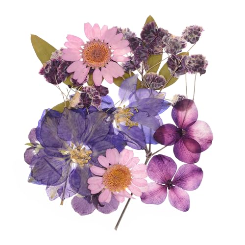 Flores prensadas secas naturales para manualidades miniatura 1