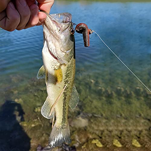 Bombrooster Finesse Ned Rig Baits Kit-Trd Worms Lures With Mushroom Jig Head Set 40Pcs #TOP1