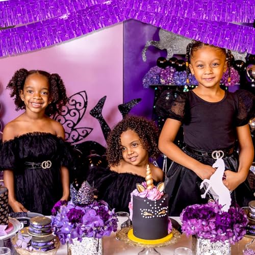 Image of Purple Parade Float Fringe,Fringe banners,Purple Fringe Garland,For Parade Float Decorations,Graduation Ceremony Decorations Festival Celebration,11.8 in x 9.8 ft,4 pack