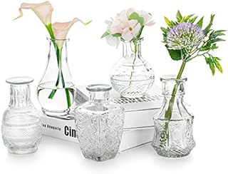 Glasseam Small Glass Flower Vase Vintage: Mini Bud Sweet Pea Vases Set of 5 Crystal Clear Rustic for Living Room Dining Table Wedding Centrepiece Indoor Bedroom Decoration