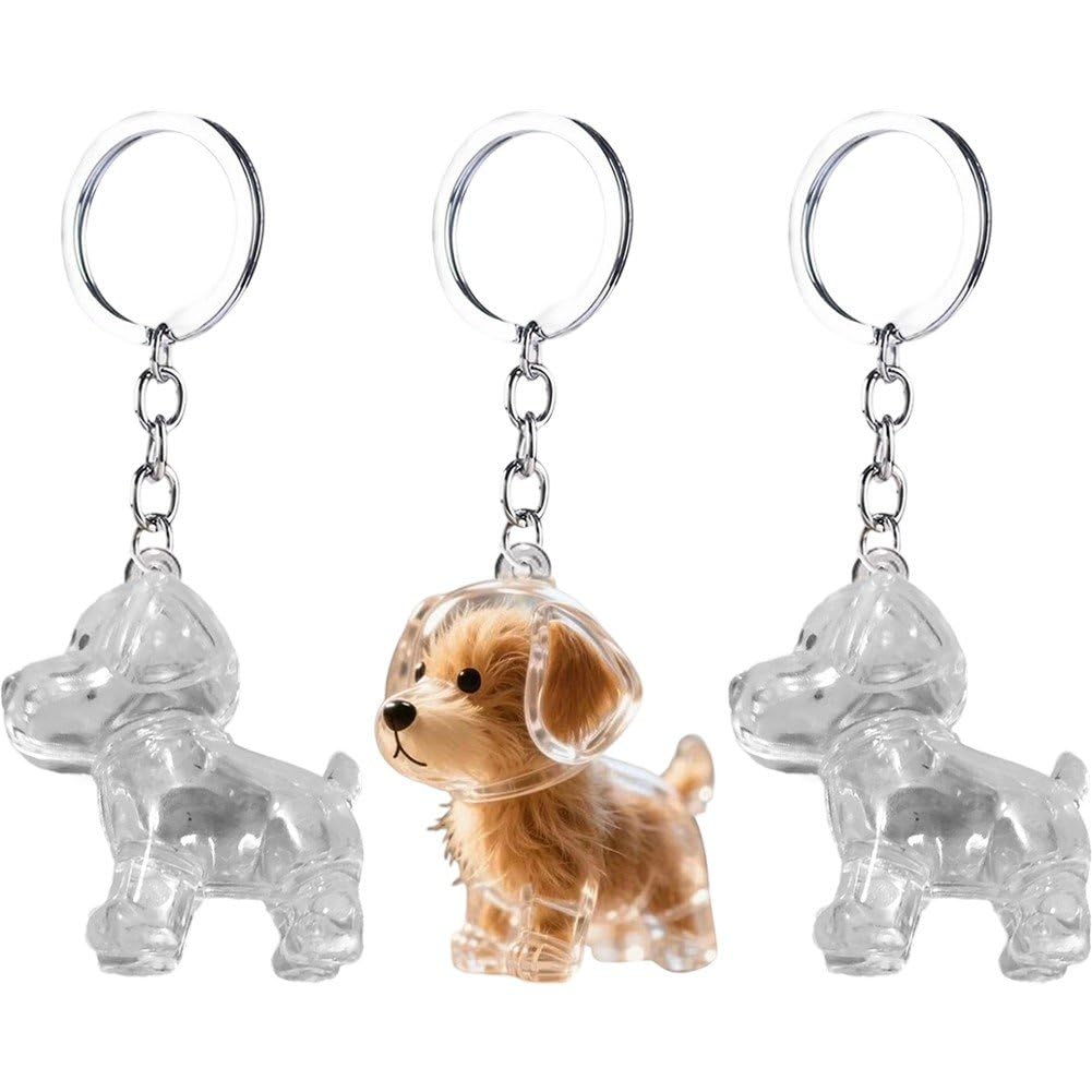 Haowul Golden Retriever Dog Hair Collector Keychain Charm Memorial Storage Box,Pet Hair Memorial Keepsake,Pet Hair Memorial Keepsake,Transparent Cute Keychain,Dog Memorial Bottle Keyring