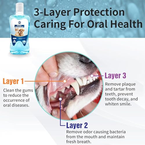 PCpetclear Petclear Mundwasser Für Hunde Und Katzen, Trinkwasserzusatz, Schützt vor Plaque Und Zahnstein, Frischer Atem, Keine Bürste Erforderlich - 380ml (1)
