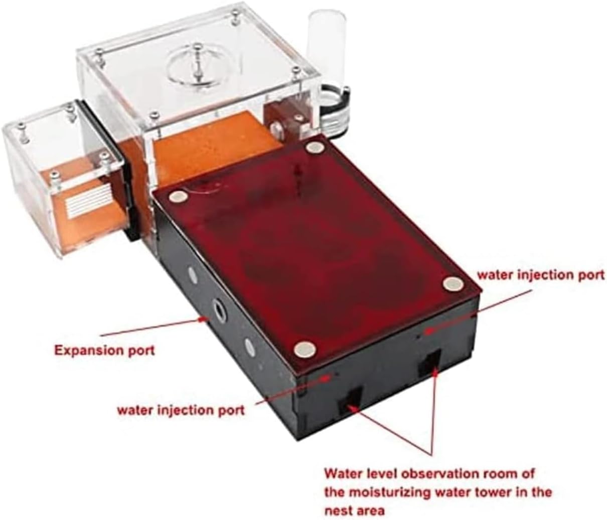 Ant Farm Acrylic Ant Castle Concrete with Feeding Area Farm Study Behavior Ecosystem Nest Habitat(Nest Area)