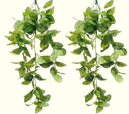 Image of Dekorly 2 Pack Artificial Plants Artificial Hanging Plants Faux Eucalyptus Leaf Greenery Fake Hanging Eucalyptus Plant (Green) (2, Yellow Money Plant Vines)