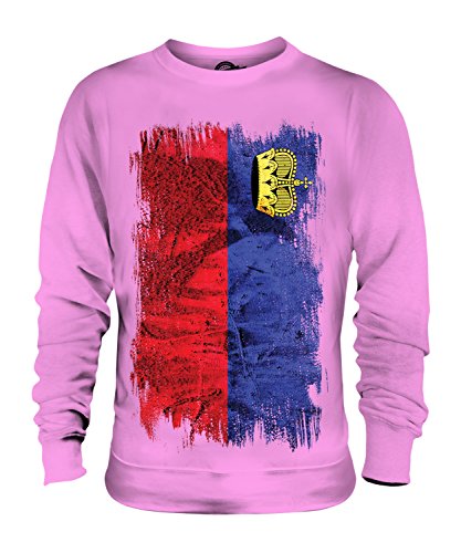 Sweat-shirt Liechtenstein au look urbain et vintage pour vos sorties