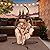 YITAHOME Hanging Egg Swing Chair Outdoor Wicker Hammock Chairs