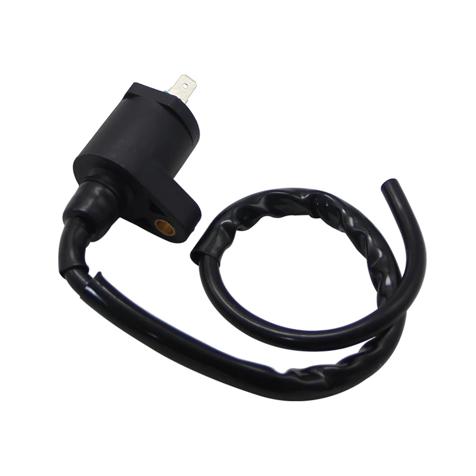 Motore Bobina Accensione Per TRX250TE TRX250TM Sportrax Recon 250 2x4 TRX250EX Bobina Accensione Moto 30510-HC4-000 30510-KB9-750 30510-KG8-670 Dispositivi Accensione