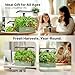 SUNCOZE 20 Pods Hydroponics Growing System Kit, Indoor Herb Garden with Dimmable Grow Light 30W, 10L Large Water Tank with Adjustable Height to 25