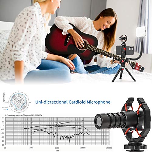 USKEYVISION Smartphone Video Vlogging Kit/Video Microphone Light Kit/YouTube Equipment, with Unique Design, for iPhone