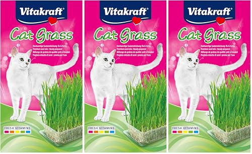 Vitakraft Cat Grass, mélange de graines pour Herbe à...