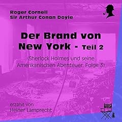 Der Brand von New York 2 cover art